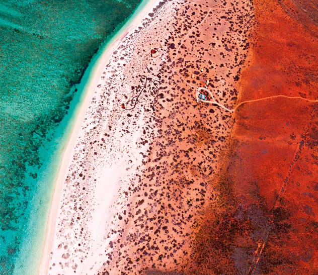 The Ningaloo Coast is just as vastly complex as its "bigger brother", The Great Barrier Reef.