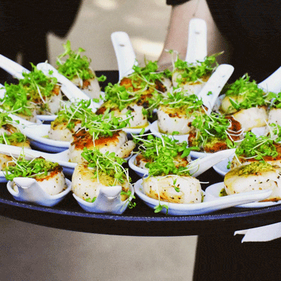 Kapiti Food Fair