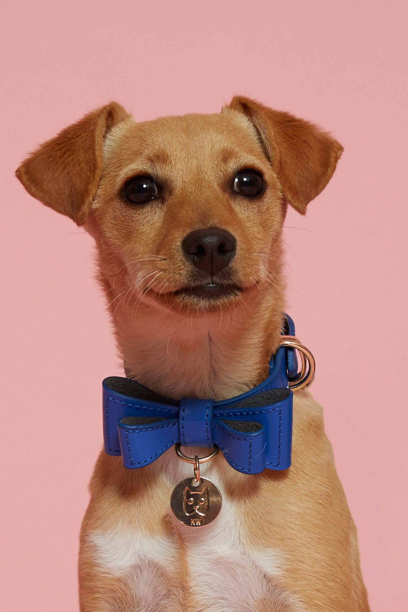 Karen Walker Launches Cute Capsule Collection to Support SPCA