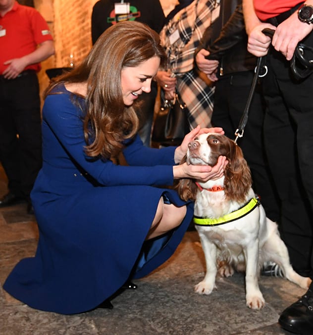 Britain's Catherine, Duchess of Cambridge pets a dog during the launch of the National Emergencies Trust at St Martin-in-the-Fields in Trafalgar Square in London, Britain November 7, 2019.  Victoria Jones/Pool via REUTERS - RC2C6D91OLUN