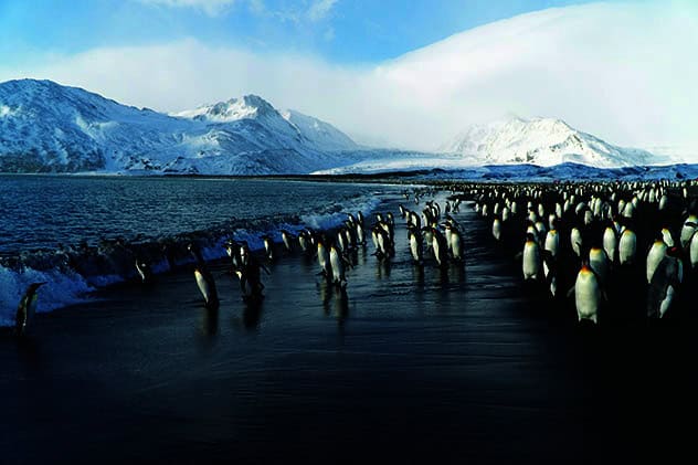 Antarctica, Silversea Cruises, Antarctica Bridge, expedition cruising