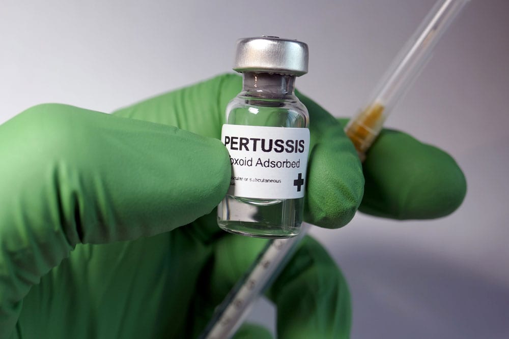 Calls for new vaccine as whooping cough evolves into superbug