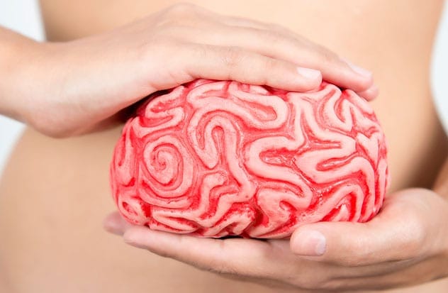 The fascinating connection between gut bacteria and brain health