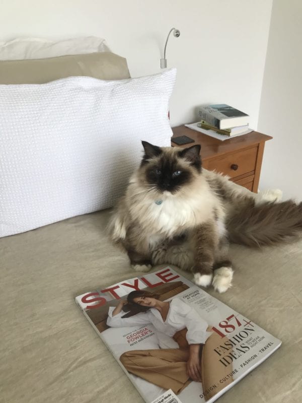 At home with MiNDFOOD’s new furry colleagues