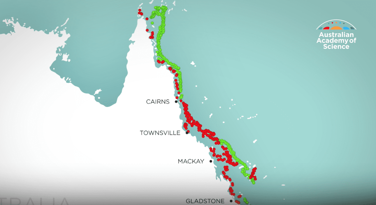 Great Barrier Reef hit by some of the worst coral bleaching in years