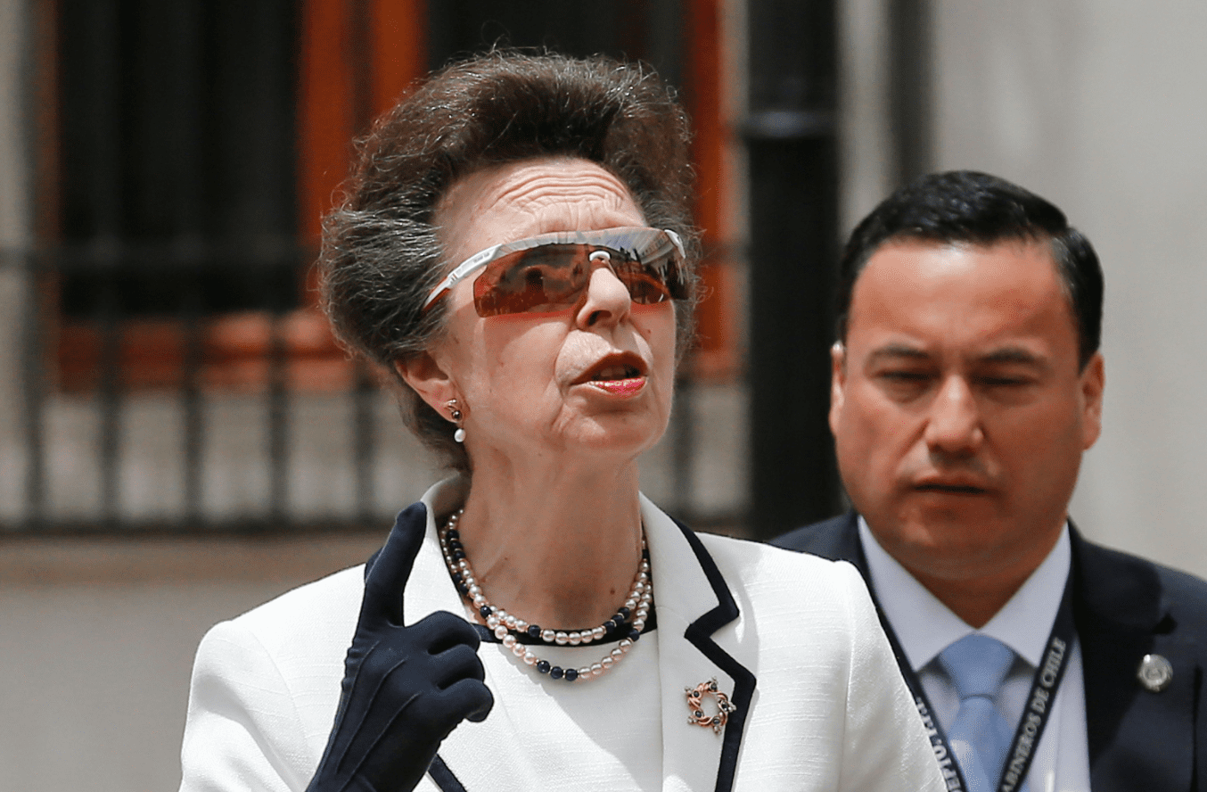 Princess Anne takes veiled dig at young royals in new interview