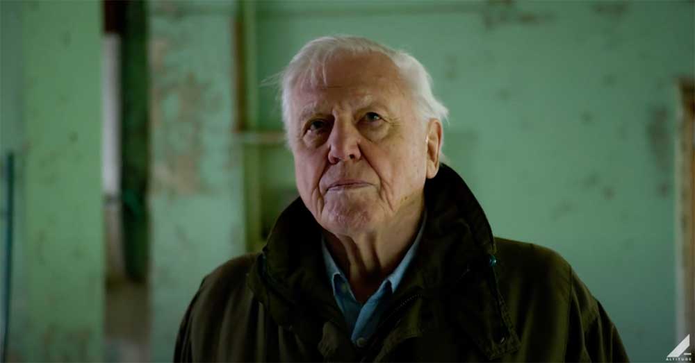 Sir David Attenborough worries about being ‘too wordy’ in new ‘Planet Earth III’