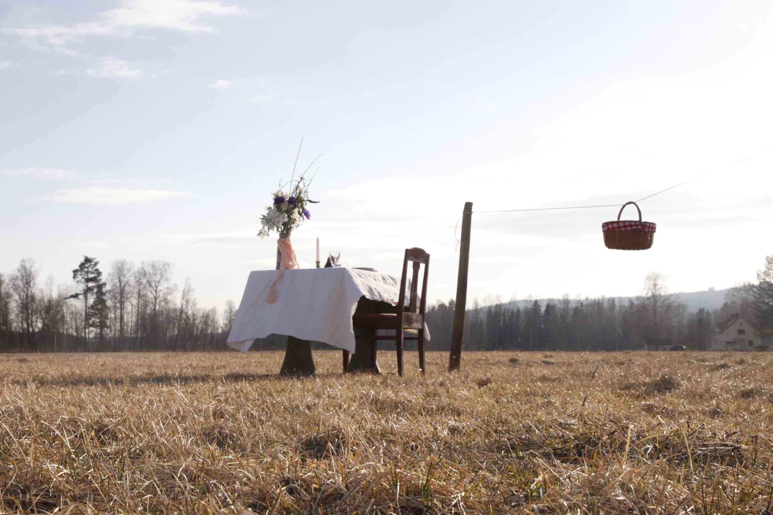 Swedish restaurant invites guests to dine alone in a field