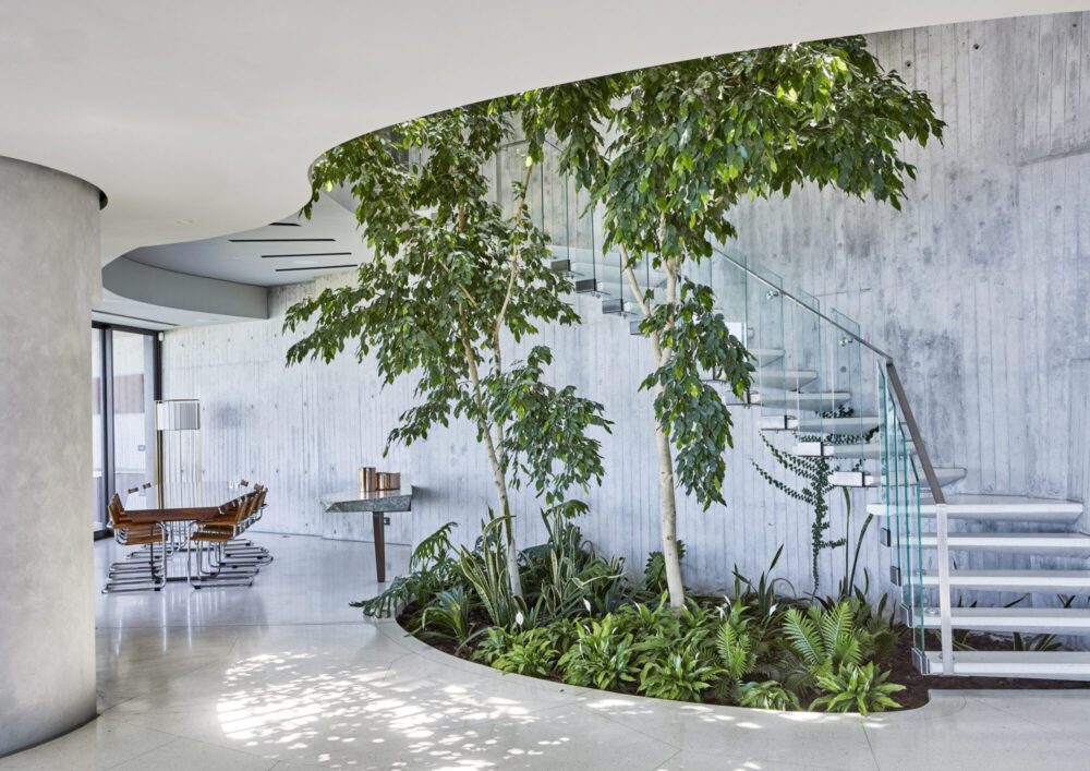 Pengilly House is located on Nettleton Ridge, Clifton, one of the most exclusive residential areas in Cape Town, features incredible house plants. 