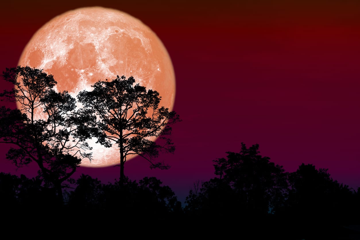 How to see the last supermoon of 2020
