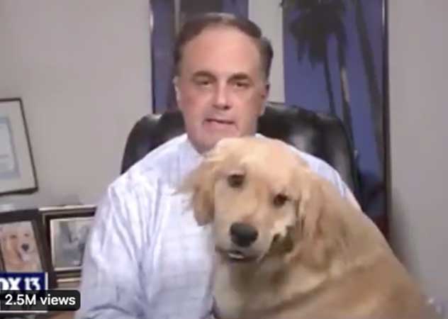 Weatherman’s broadcast hilariously hijacked by his dog