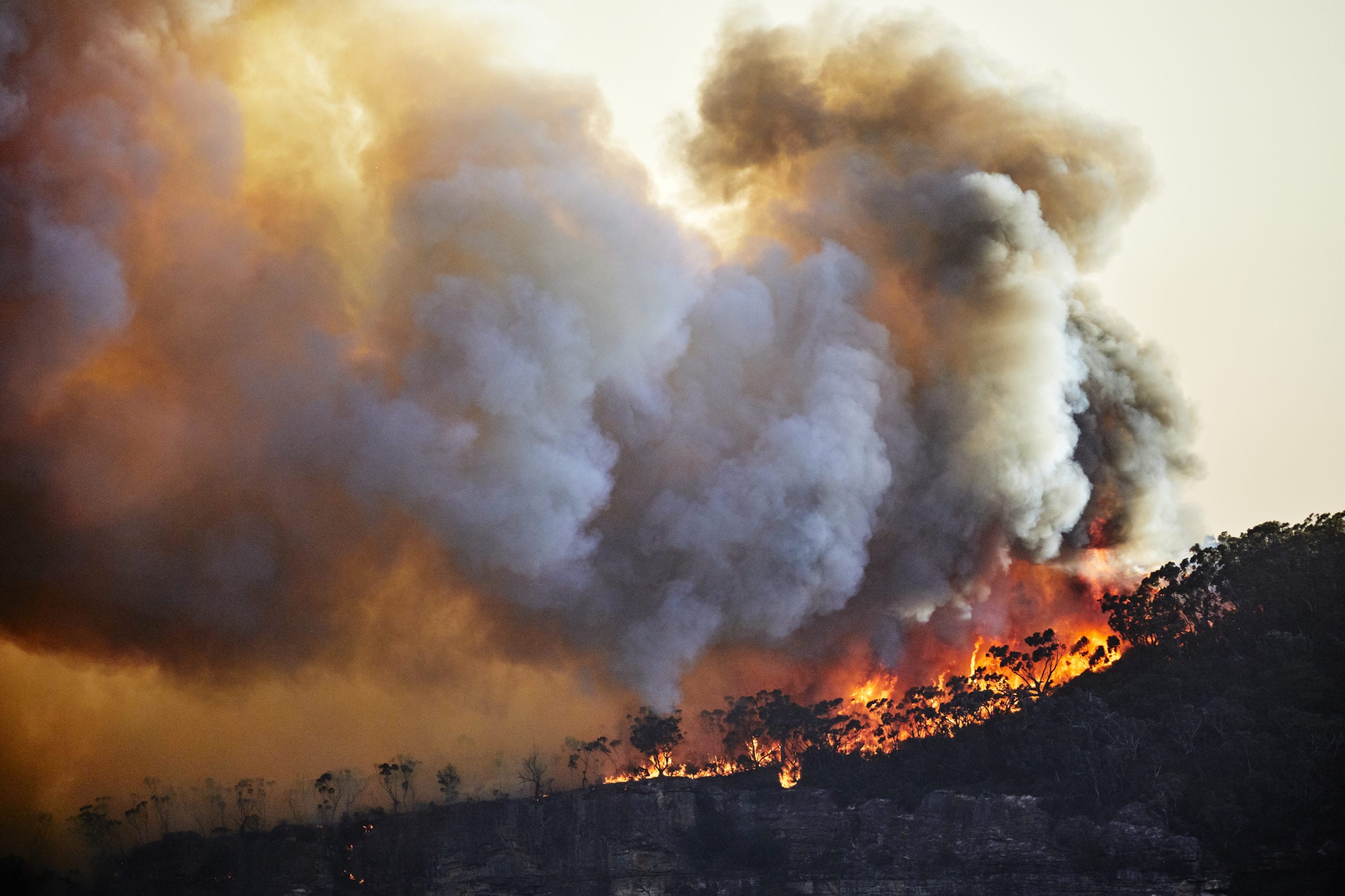 Out of control fire on Narrow Neck Plateau, Katoomba, Blue Mountains, Australia. 