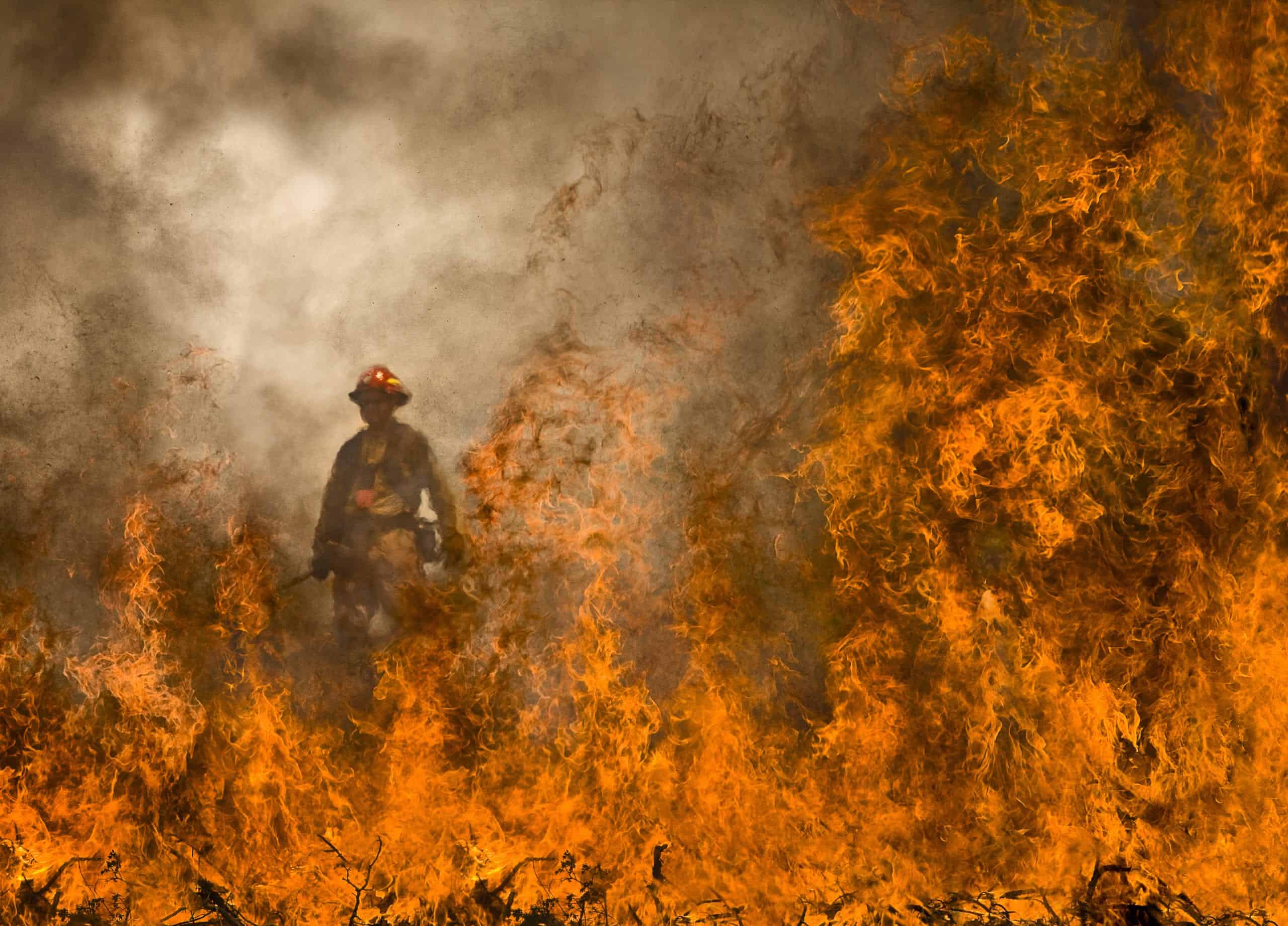 Colorado wildfire fighters on the Prince Creek burn near Carbondale.