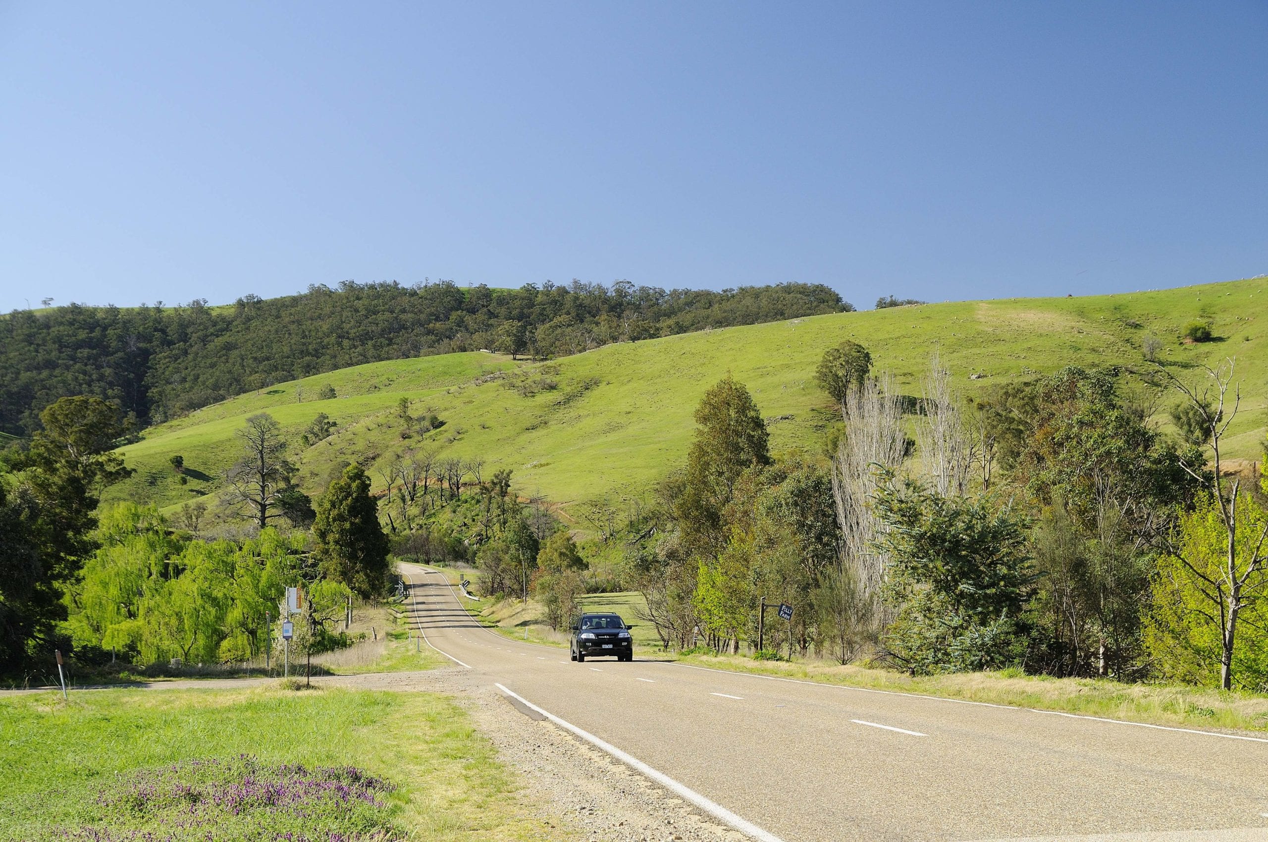 Drive on the Great Alpine Road, Omeo
