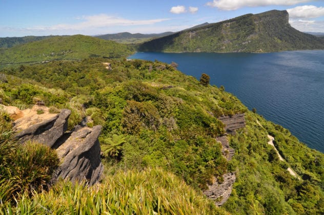 5 of our favourite New Zealand Great Walks