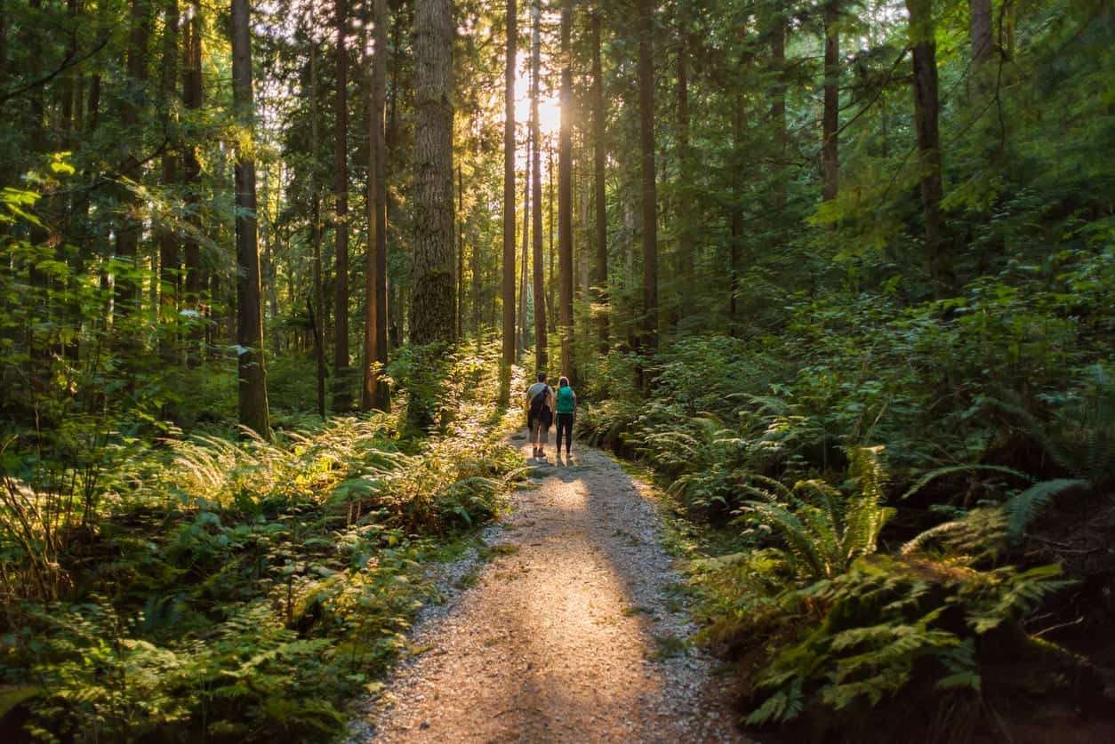 people working through trees