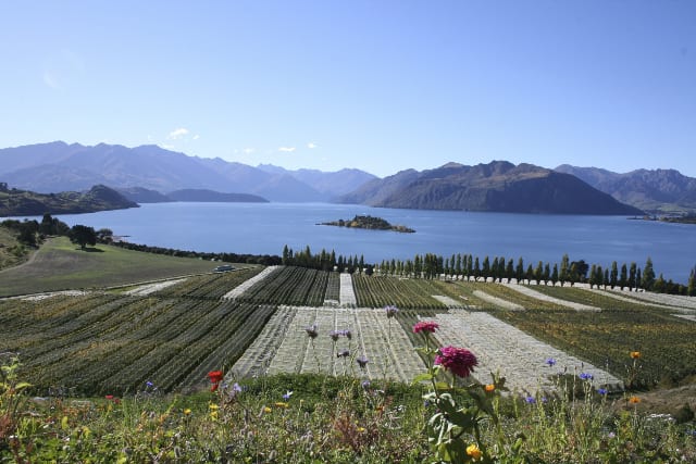 New Zealand Wineries Named on the World’s Best Vineyards List