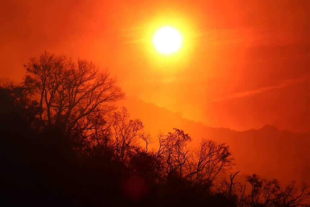 Wildfires and heat waves plague southern Europe