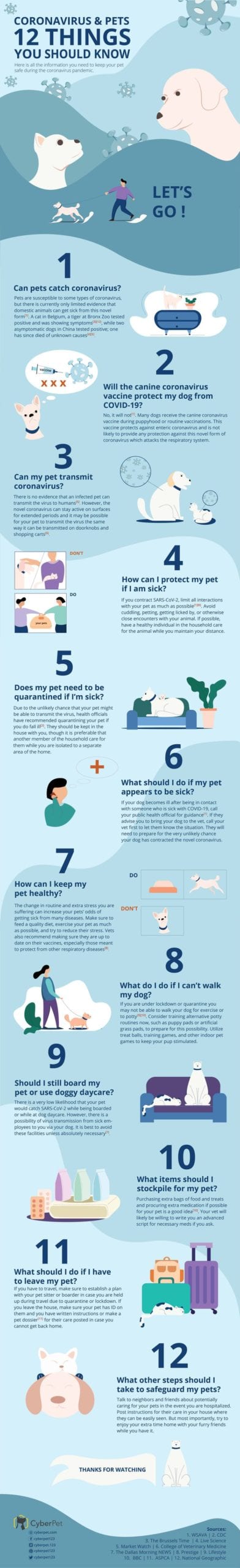 12 frequently asked questions about COVID-19 and pets