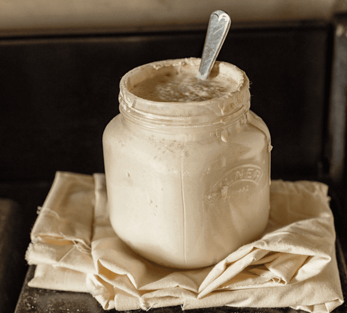 Sourdough Starter