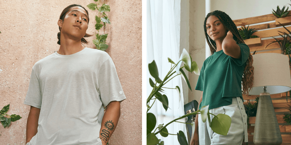 Turning Crab Shells Into T-Shirts: Allbirds Launches Innovative Apparel