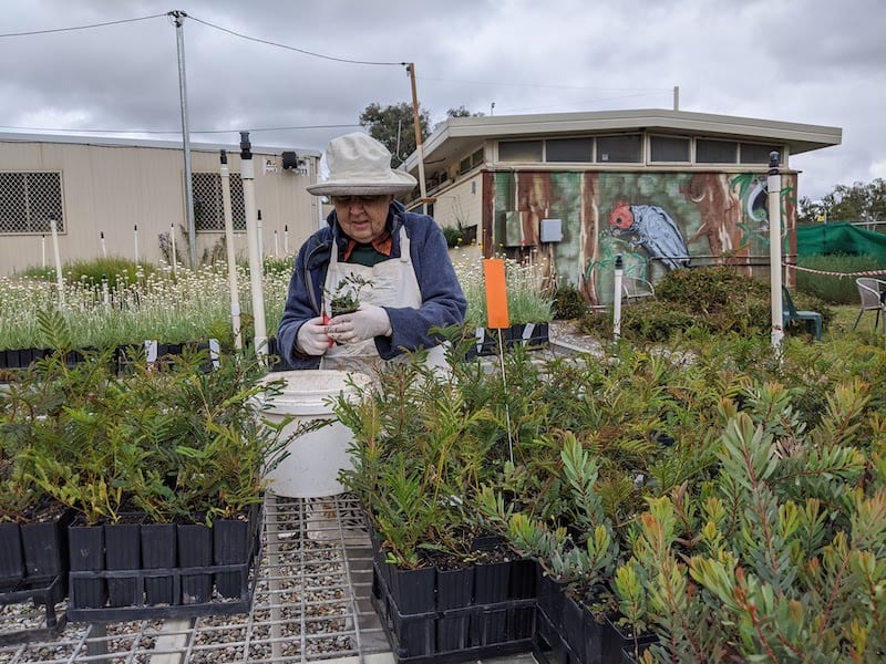 L’OCCITANE to help restore Australia’s vegetation with new partnership