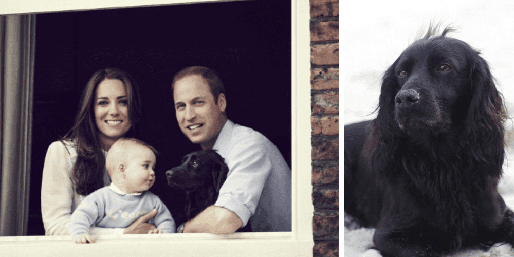 Prince William and Duchess Kate mourn the loss of beloved family dog Lupo