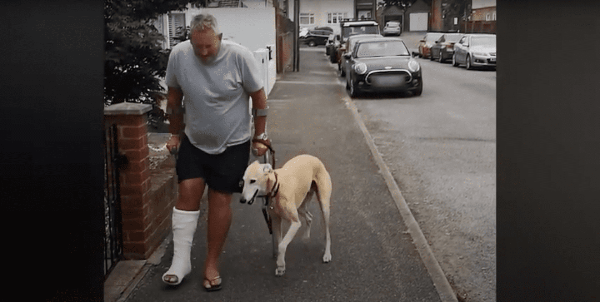 Watch: Adorable dog copies owner’s limp out of sympathy