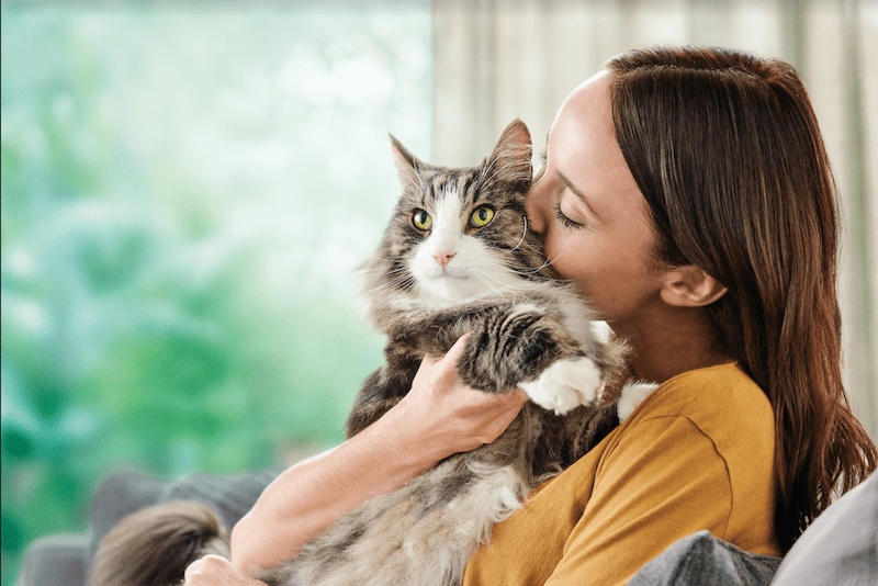 This new cat food is a game-changer for reducing cat allergens