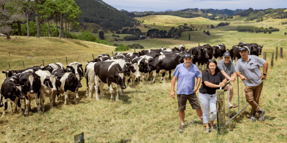 Meet the winners of the 2020 Silver Fern Farms Plate to Pasture Awards