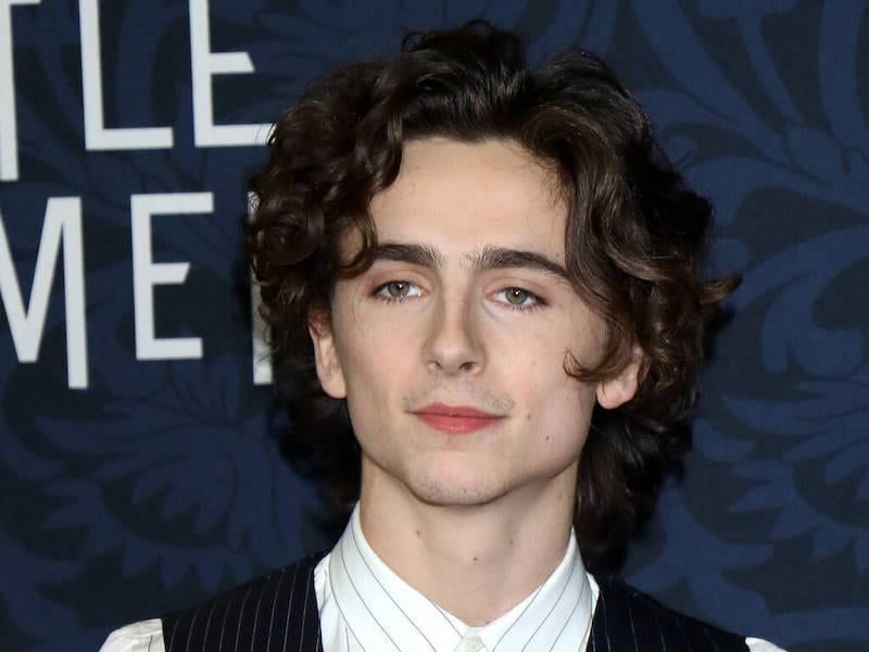 Timothee Chalamet to play Willy Wonka in new Wonka movie