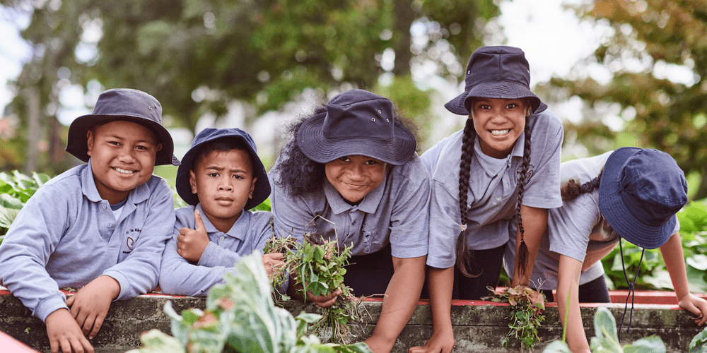 How school gardens are teaching students skills for life