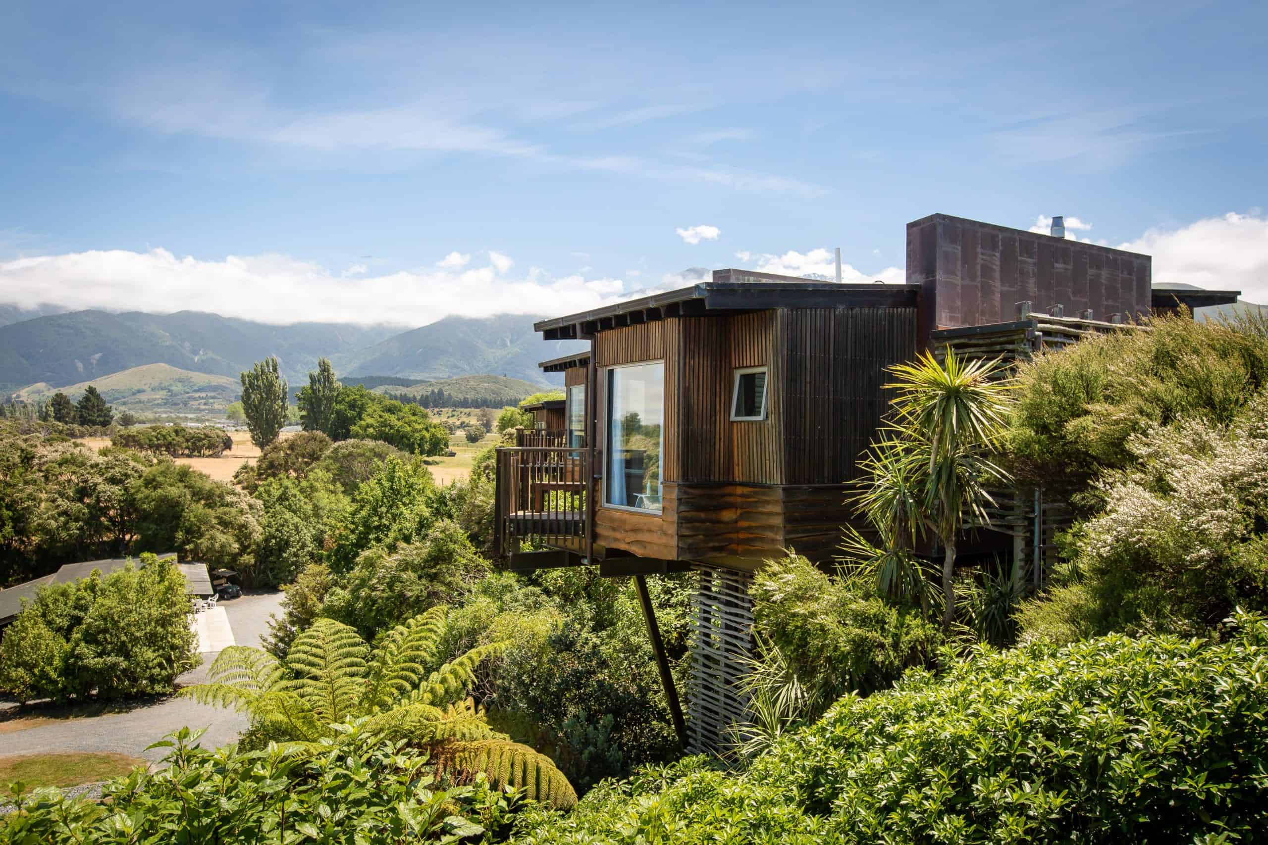 <em>The treehouses at Hapuka Lodge</em>