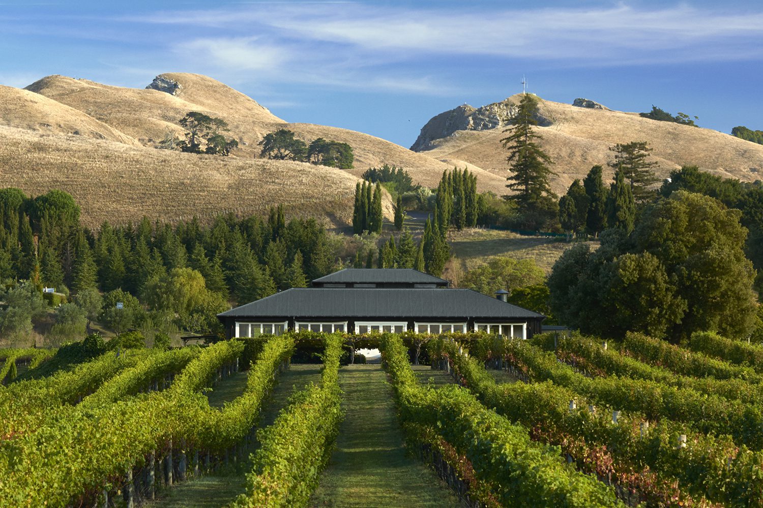 A weekend in Hawke’s Bay: must-try wineries, fantastic restaurants and five-star stays