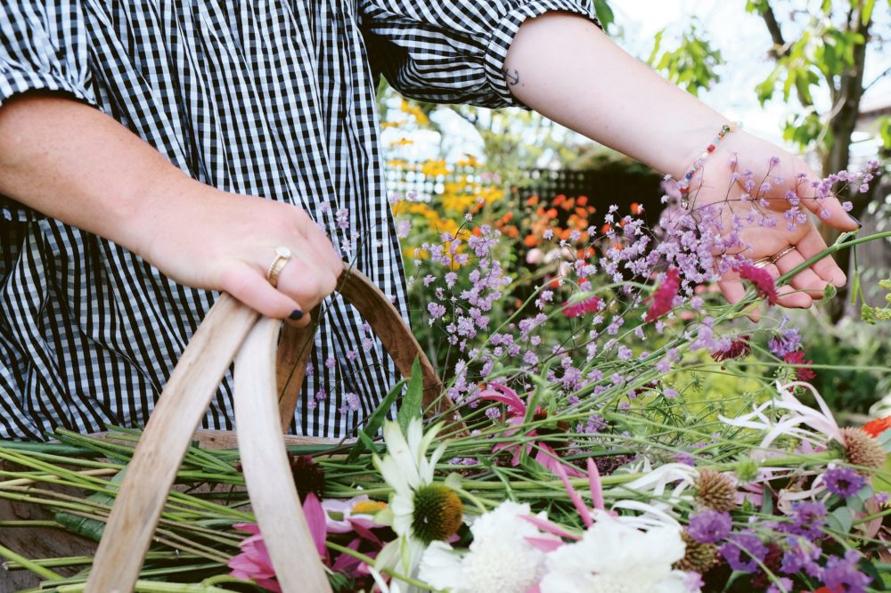 How to harvest flowers for spring floral arrangements