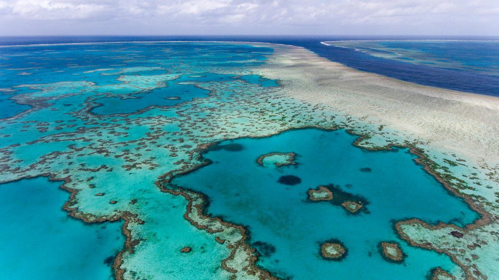 Scott Morrison pledges $1 billion for Great Barrier Reef preservation