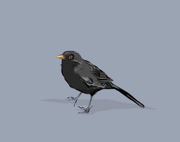 Short Story: The Blackbird