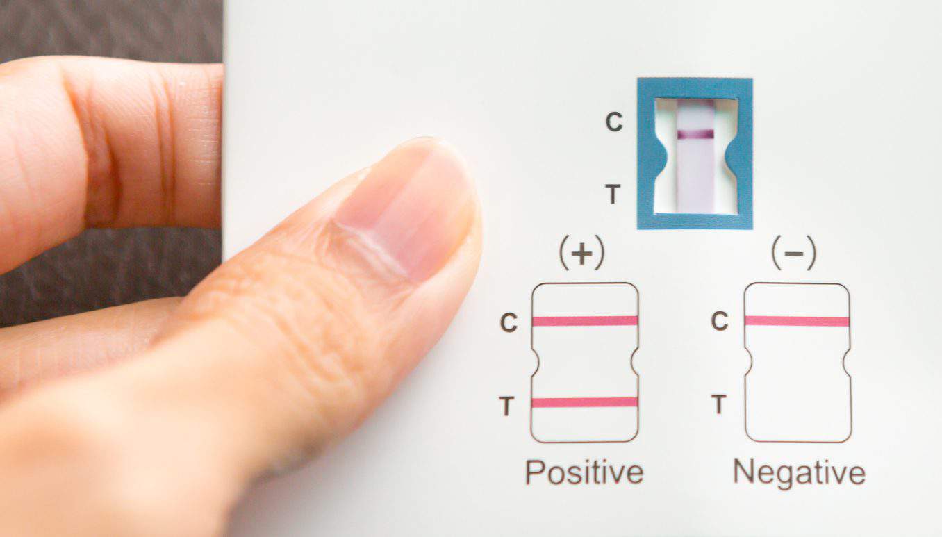 Hand holding Antigen Test Kit