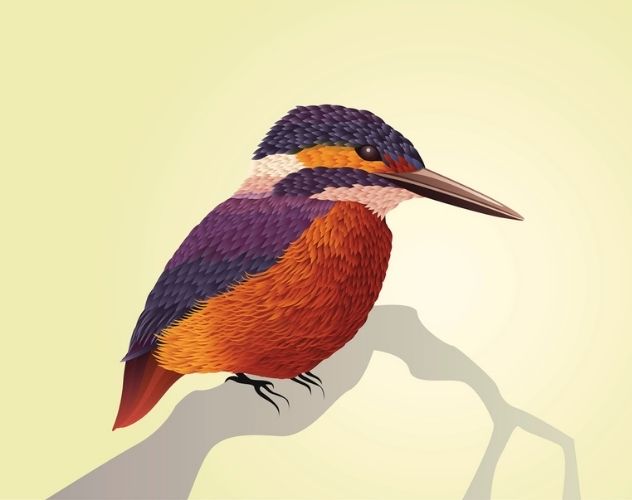 Kingfisher – Poem