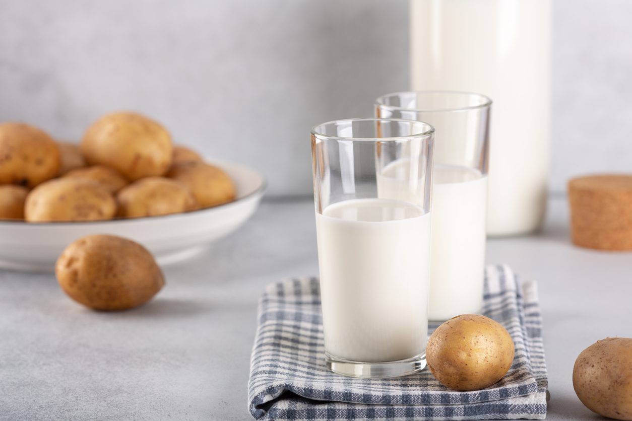 Vegan friendly potato milk in glasses on gray table. Alternative plant based milk and potato tubers