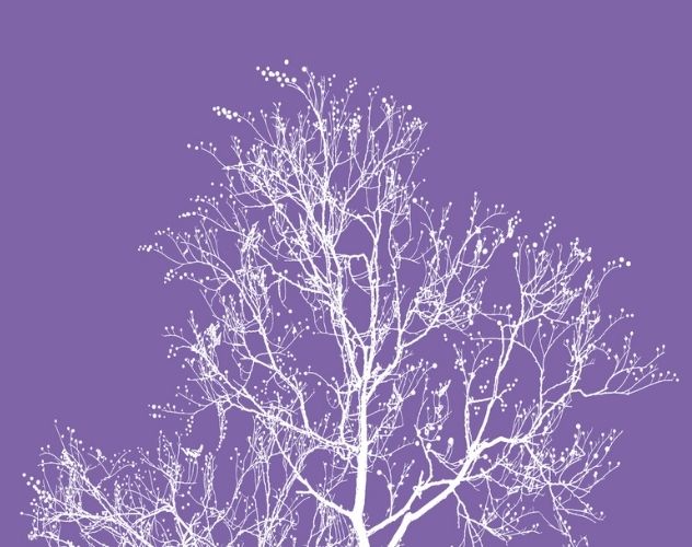Winter Trees – Poem