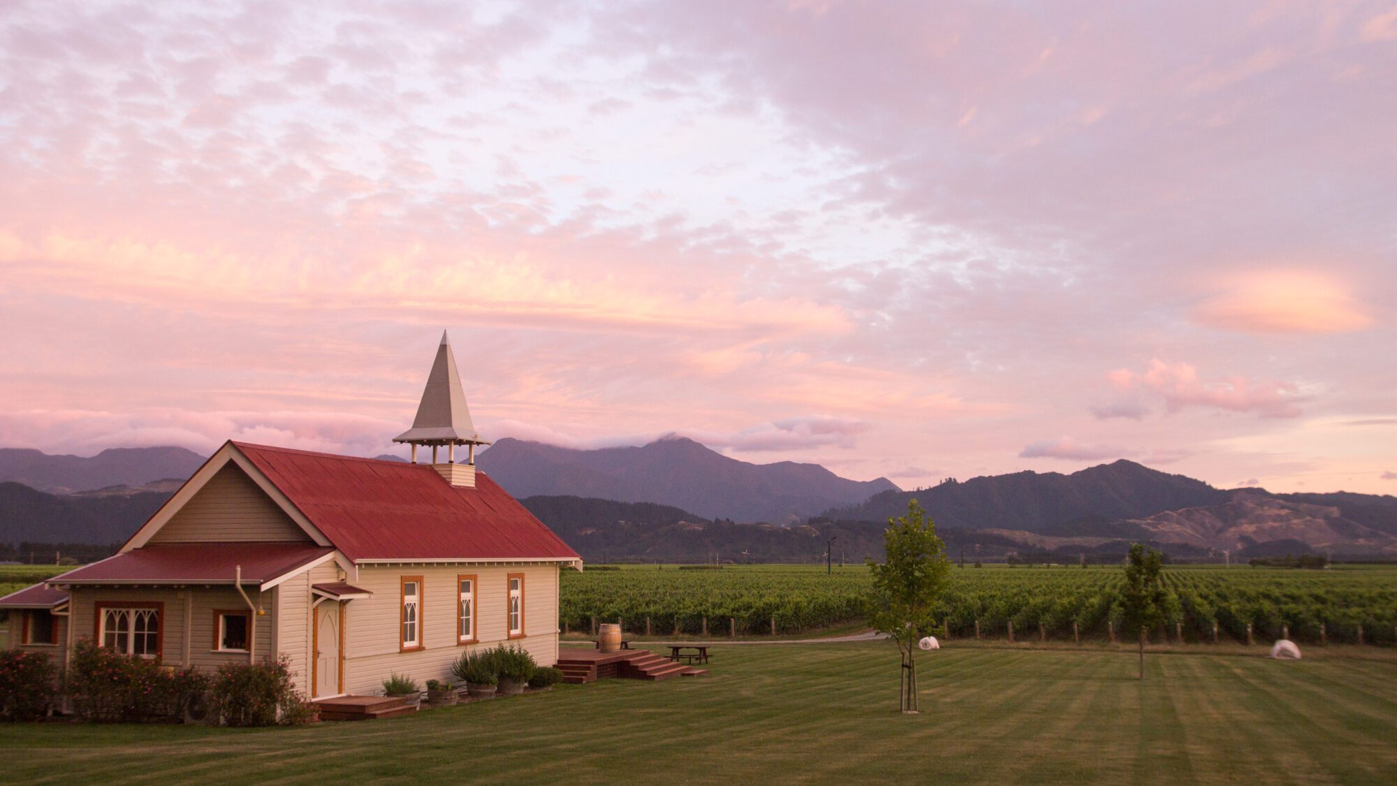 A wine-lover’s road trip: 10 fantastic wineries to visit in New Zealand
