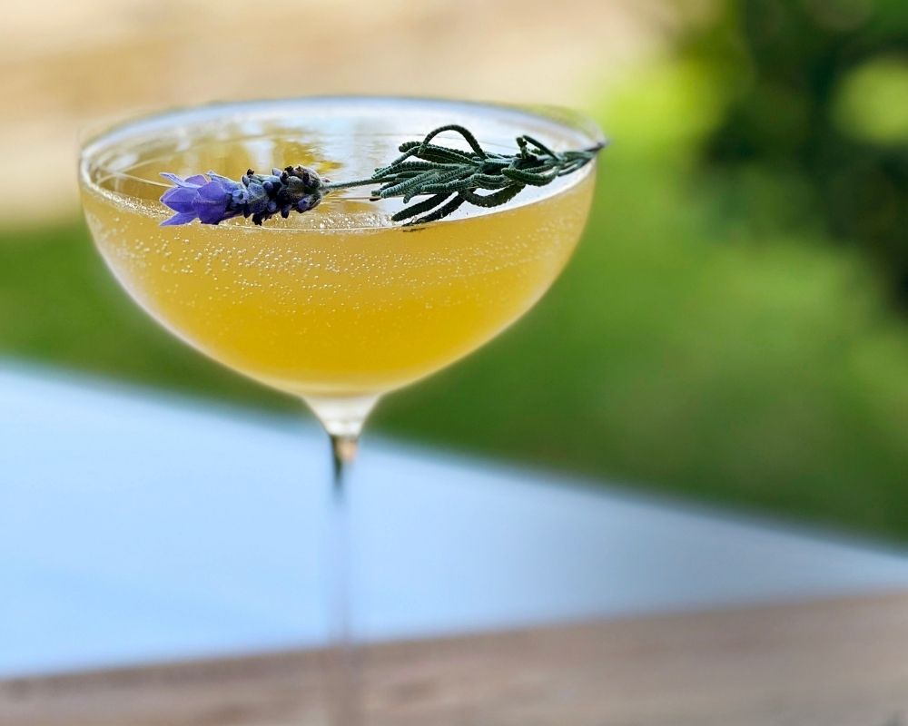 fleur de paradise cocktail