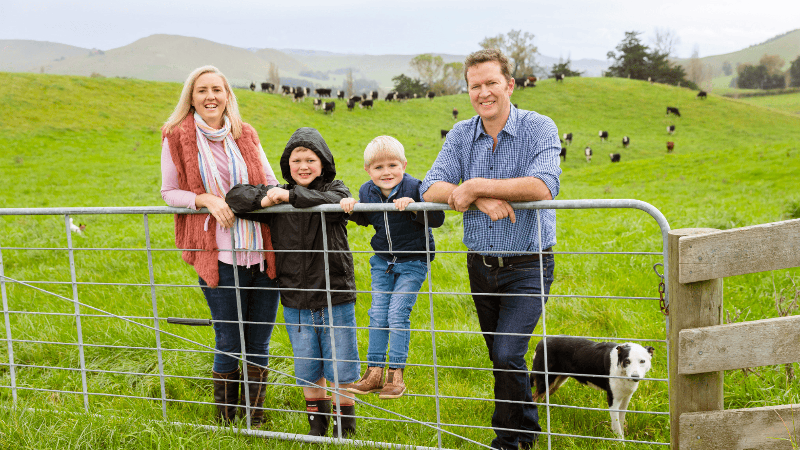 Silver Fern Farmers Abbie, Archie, Teddy and
Will Foley