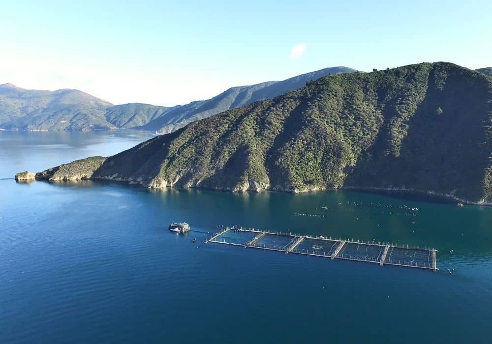 New Zealand King Salmon farm Omega Plus