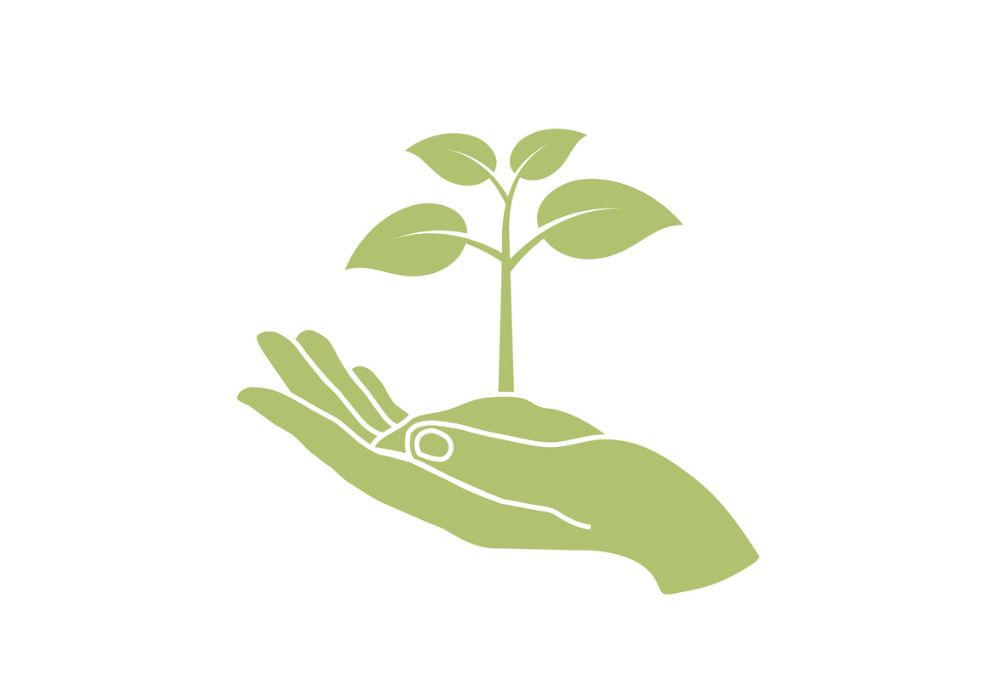 hand holding seedling illustration