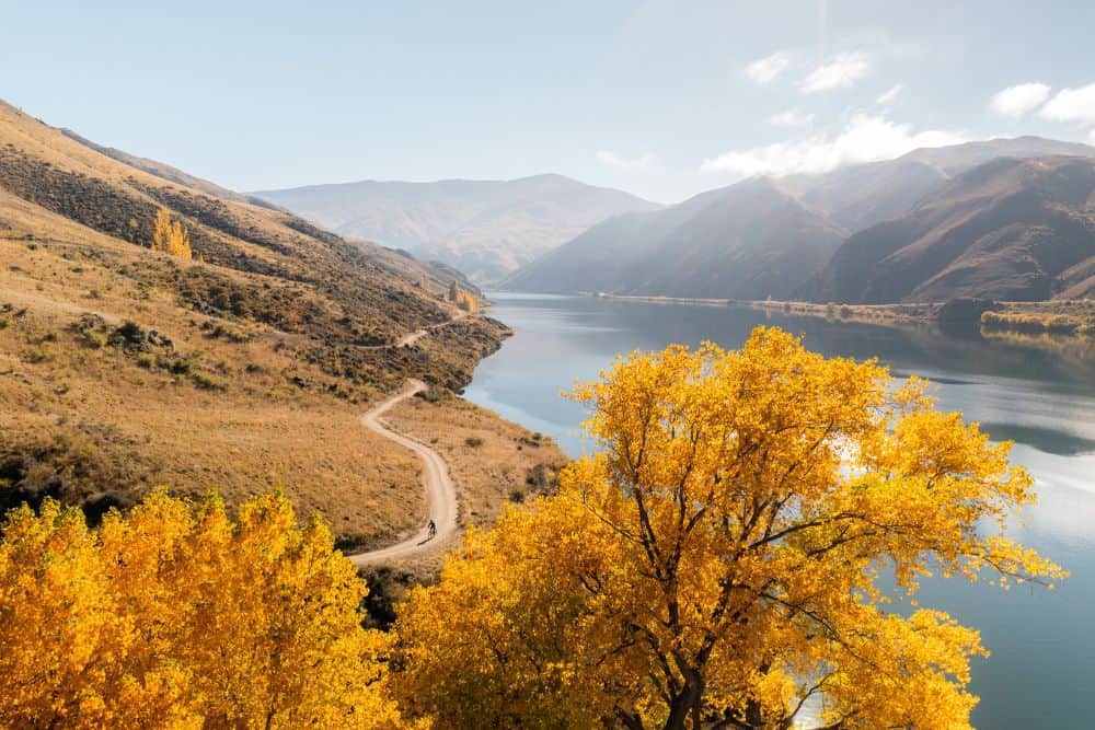 central otago lake dunstan