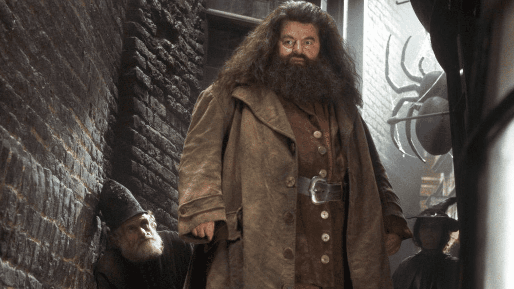 Robbie Coltrane as Hagrid in 'Harry Potter'