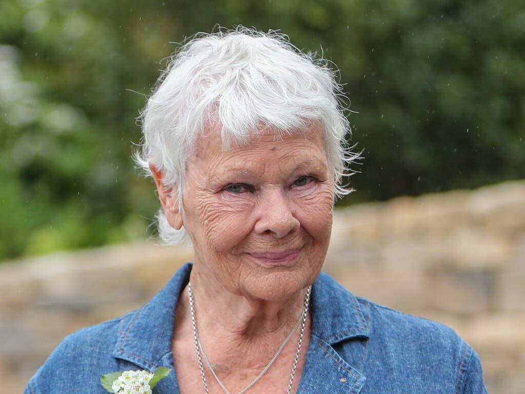 Judi Dench admits her deteriorating eyesight has made it ‘impossible’ to read scripts