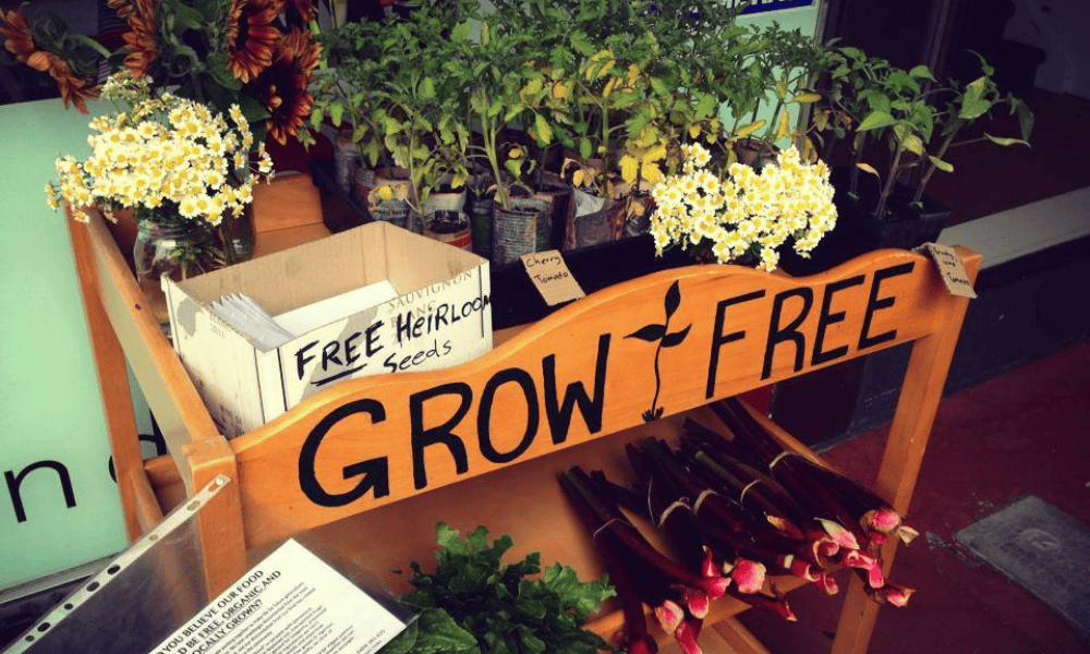 How popup garden carts are feeding communities and fostering connections